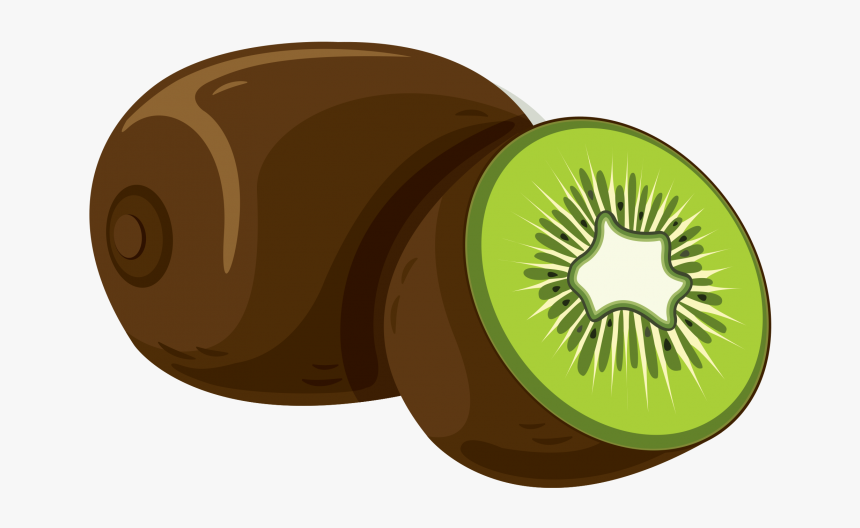 Kiwi Fruit Clip Art Png - Kiwifruit, Transparent Png, Free Download