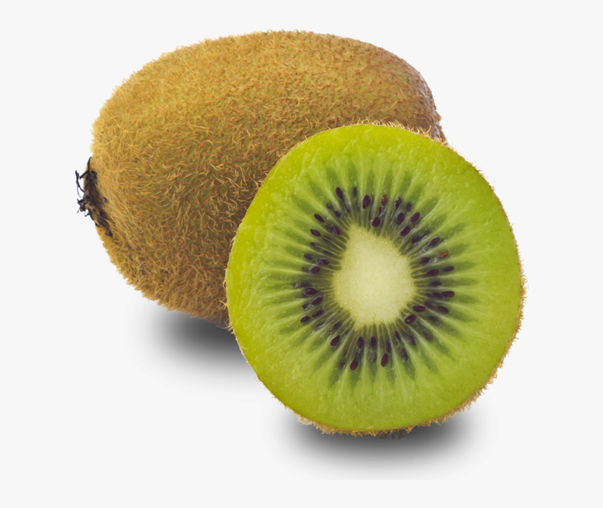 Kiwi, Protofanousis - Kiwi Fruit Transparent, HD Png Download, Free Download