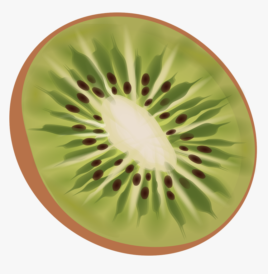 Kiwi Png, Transparent Png, Free Download