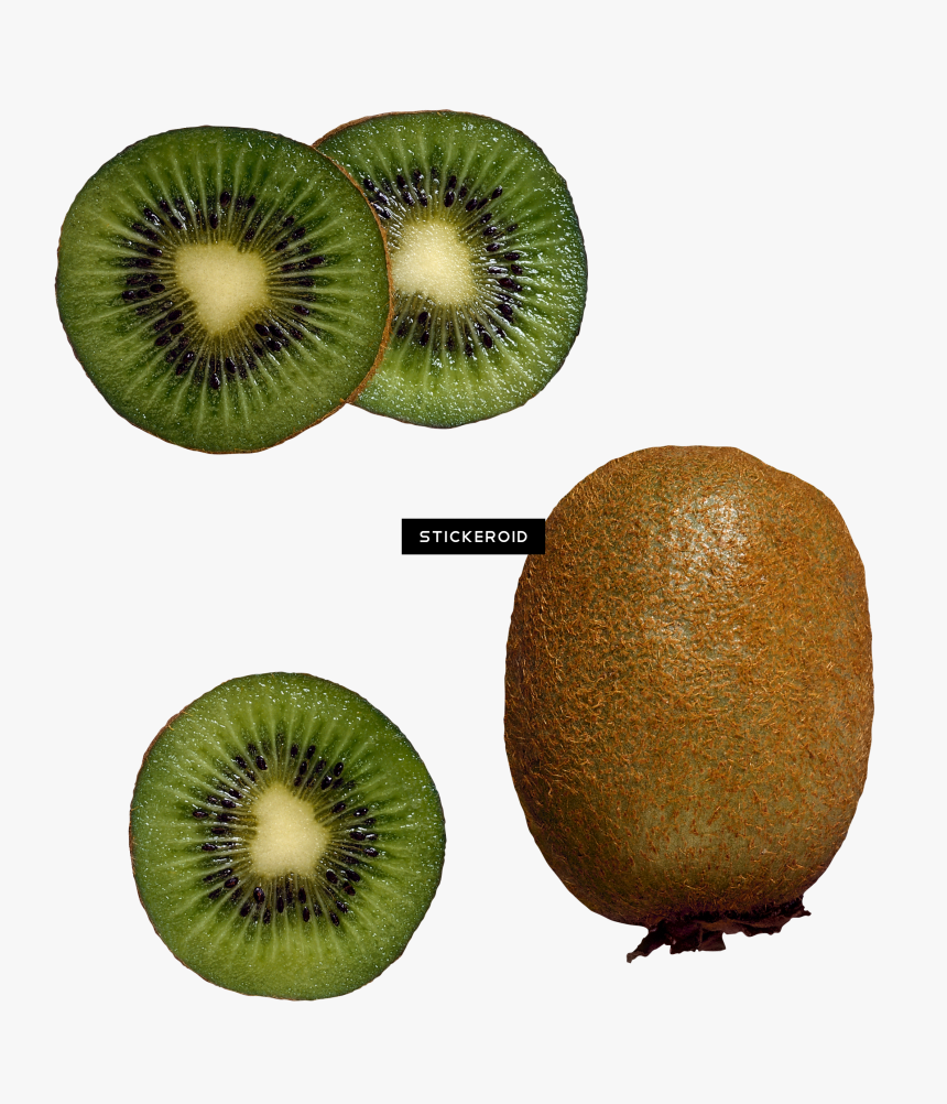 Kiwi Fruit Kiwi S - Top Of A Kiwi, HD Png Download, Free Download