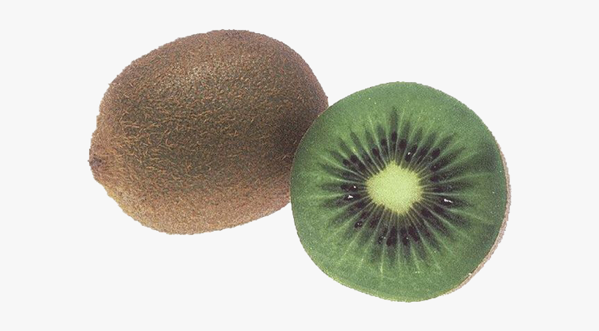 #moodboard #polyvore #png #polyvorepng #food #fruit - Kiwi Dark Green Inside, Transparent Png, Free Download