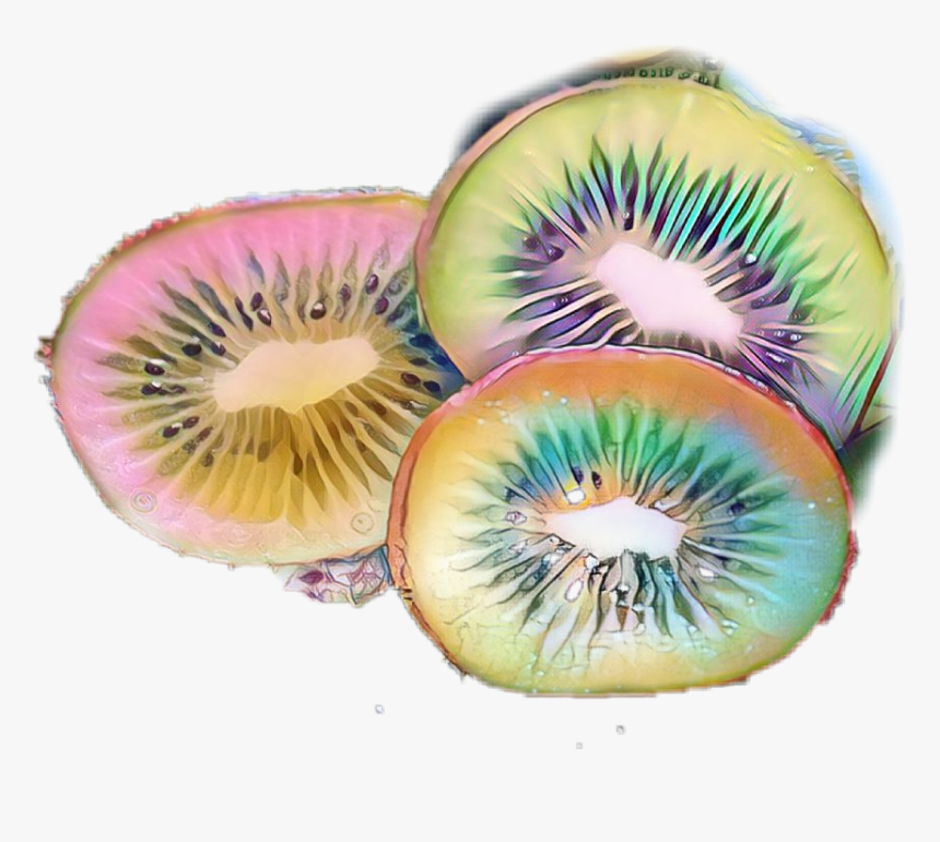 #kiwi #fruit #summersun #love #rainbow - Kiwifruit, HD Png Download, Free Download