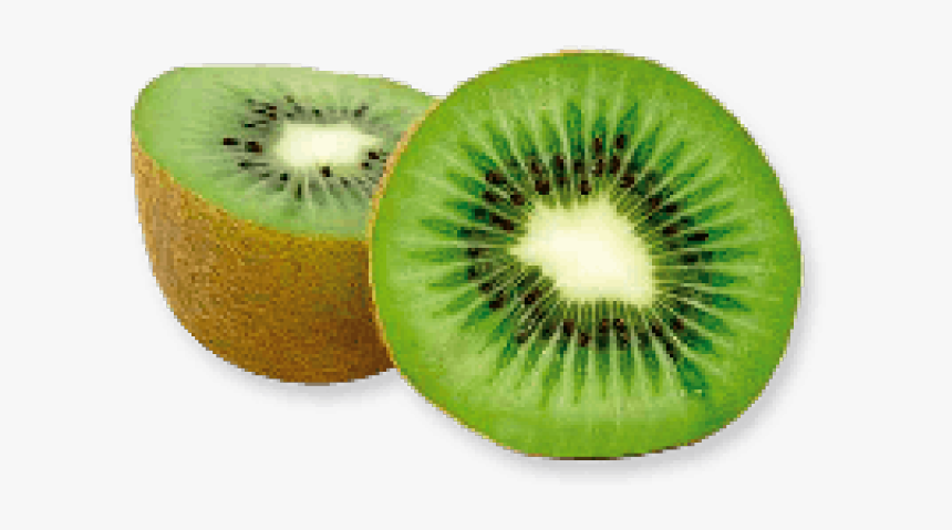 Kiwi Clipart Sliced - Kiwi Png, Transparent Png, Free Download