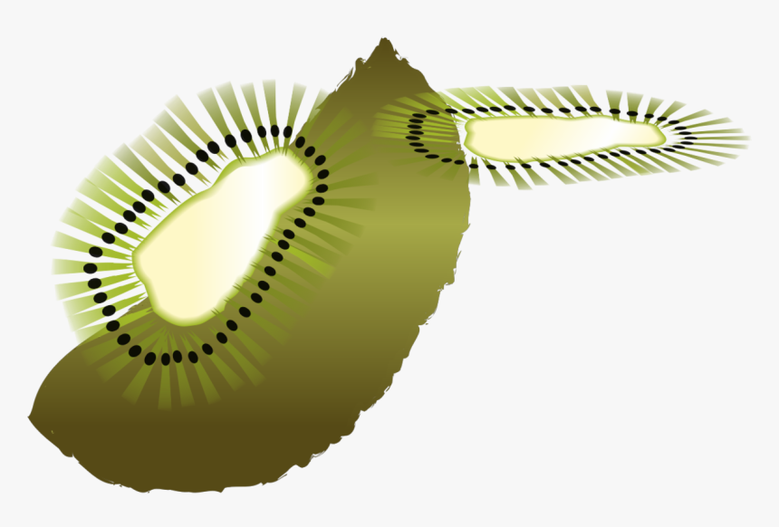 Kiwi,fruit,invertebrate, HD Png Download, Free Download