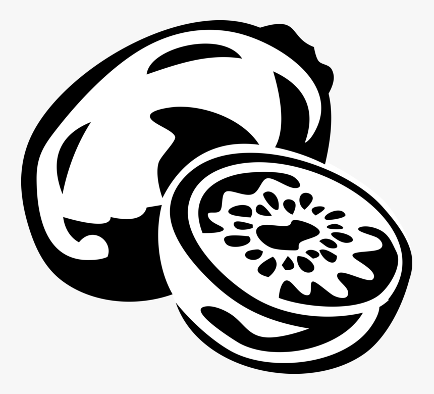 Vector Illustration Of Kiwifruit, Chinese Gooseberry - Kiwi Fruit Stencil, HD Png Download, Free Download