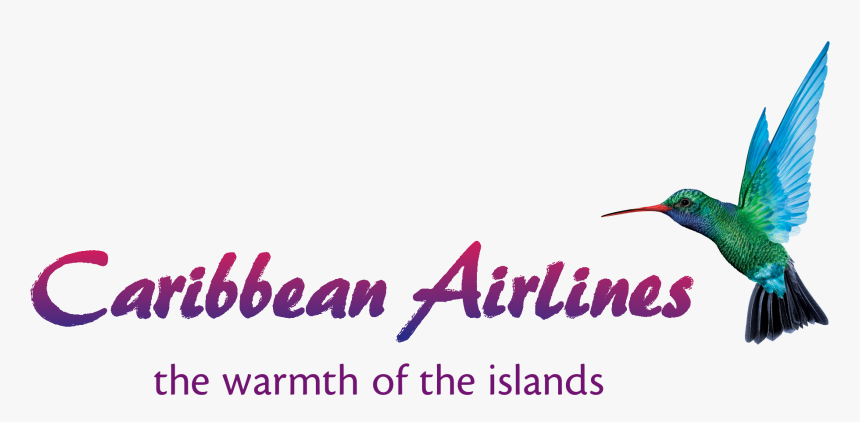 Caribbean Airlines Logo, HD Png Download, Free Download