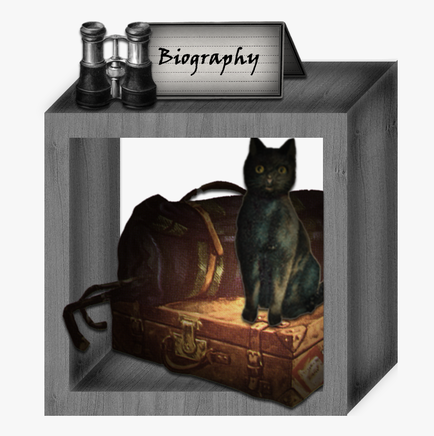 Biography - Black Cat, HD Png Download, Free Download