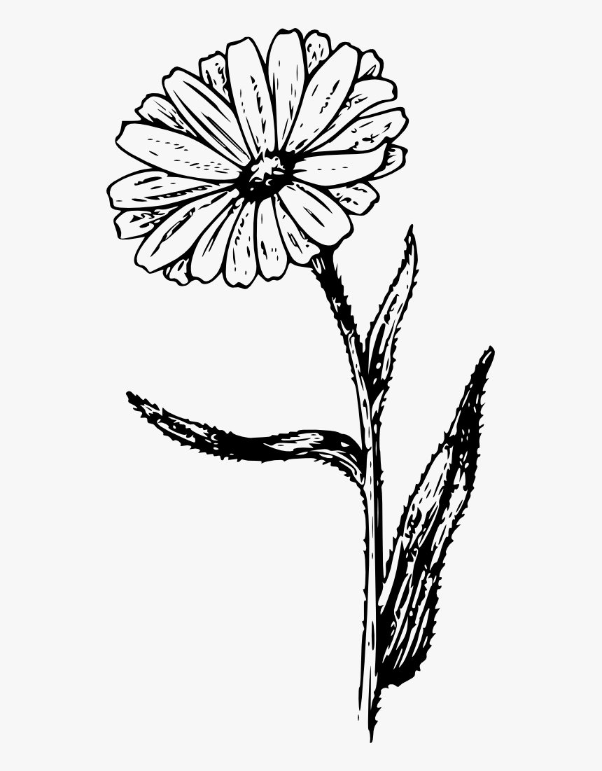 Black And White Clipart Flower Tattoo, HD Png Download, Free Download