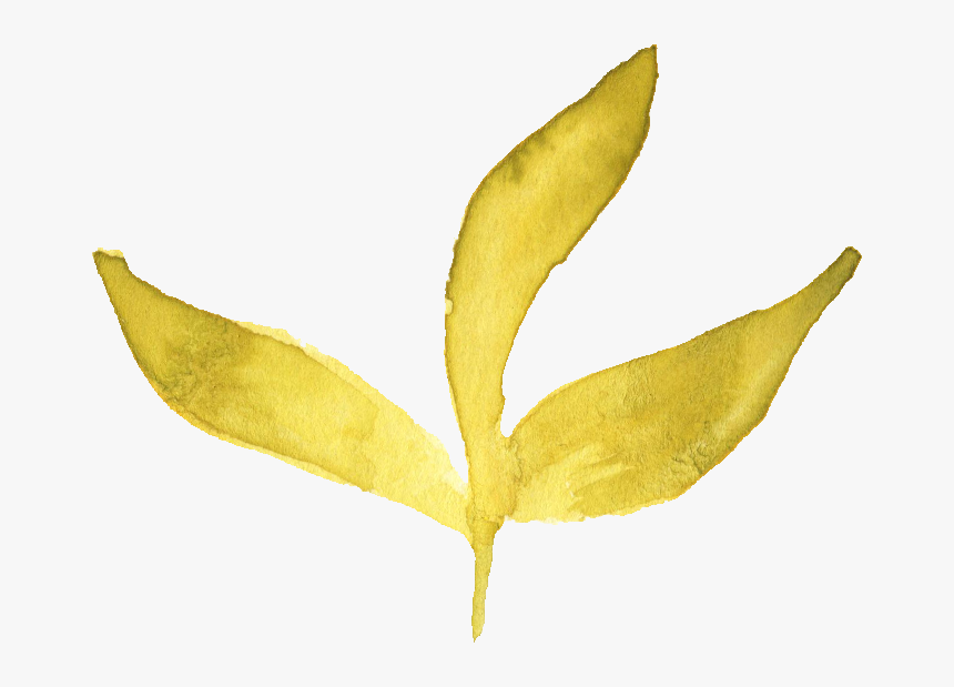 Transparent Watercolor Leaf Png - Watercolor Flowers Transparent Png File, Png Download, Free Download