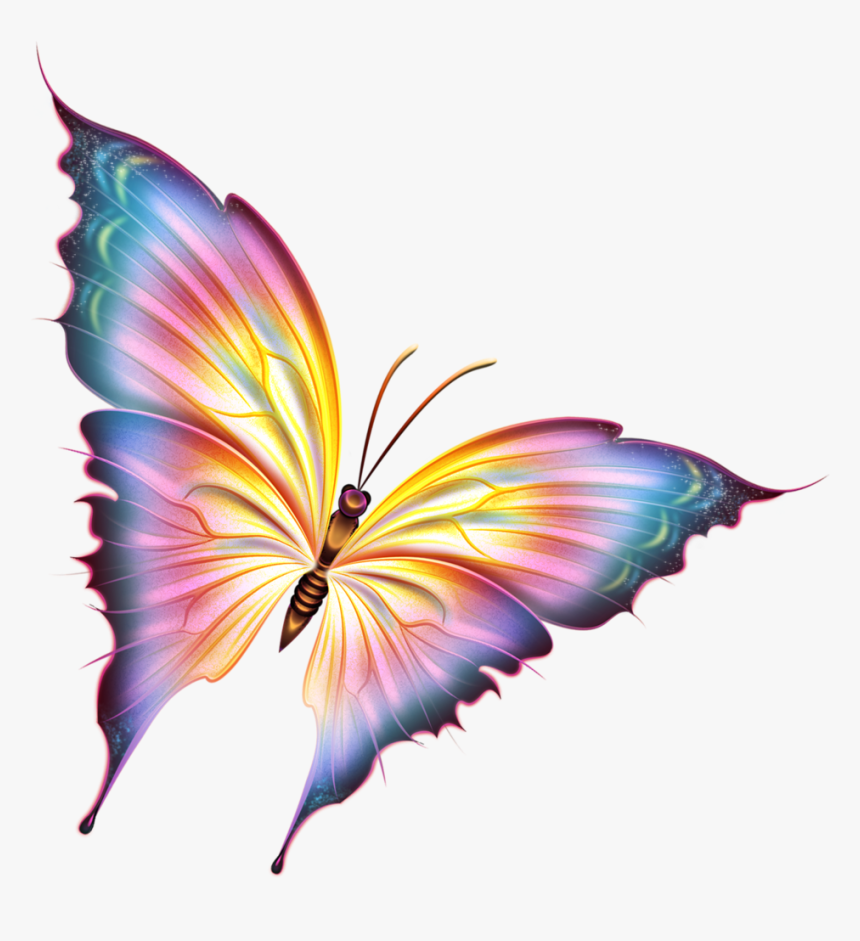 Butterfly Png Beautiful , Png Download - Beautiful Butterfly Png, Transparent Png, Free Download
