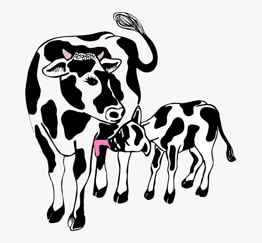 Transparent Mother Clipart Black And White - Cow With Calf Clipart, HD Png Download, Free Download