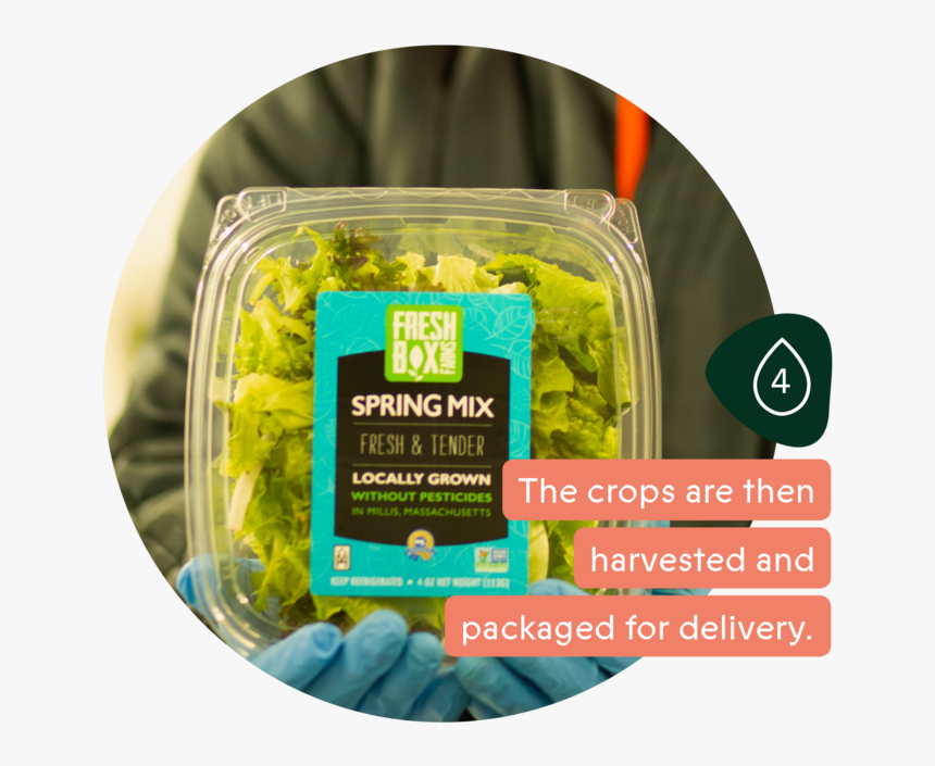 Cropone Growthcycle Carousel V01kb4 - Food, HD Png Download, Free Download