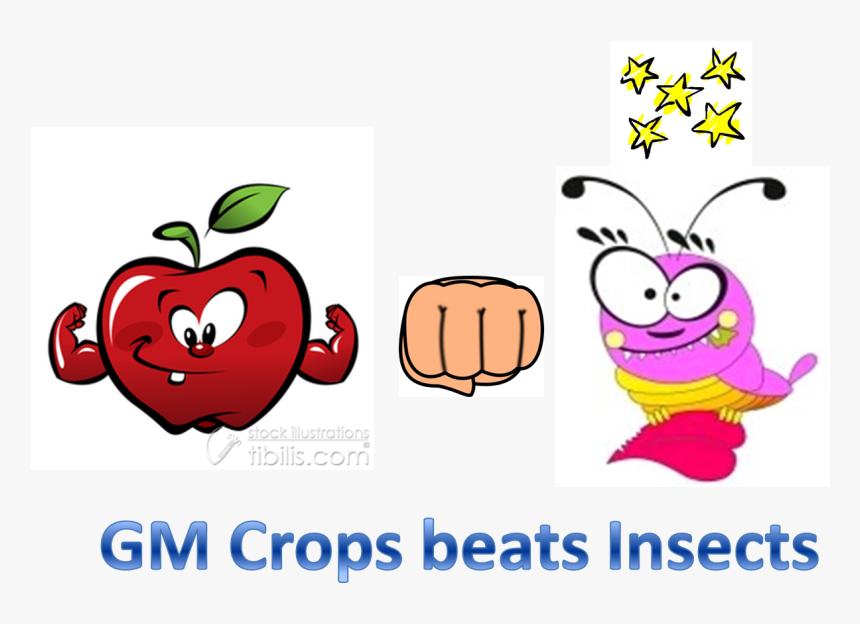 Image Courtesy Of Foodsafetycentral - Cartoon Fruits And Vegetables Clipart, HD Png Download, Free Download