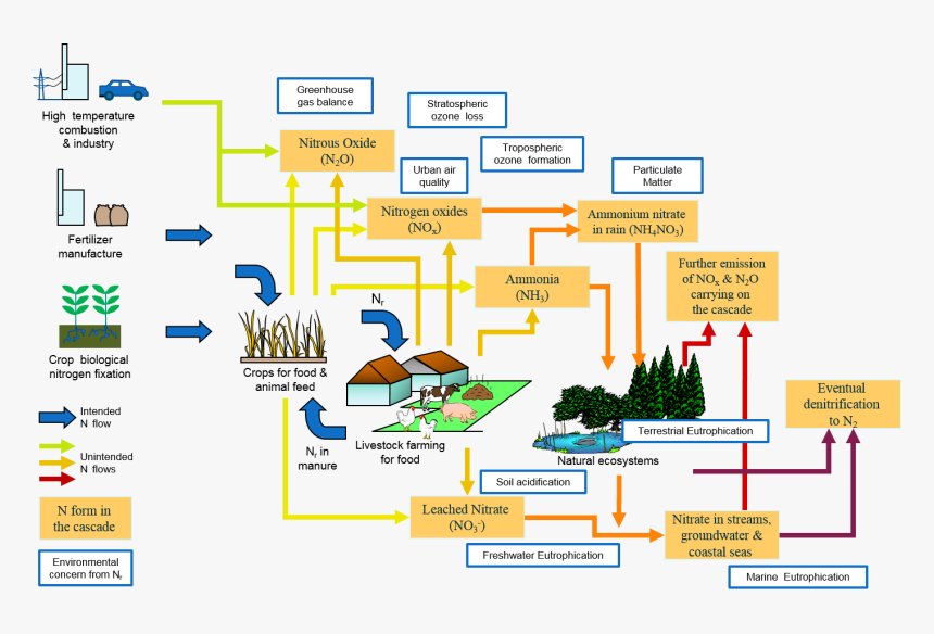 Models Of Nitrogen Cascade, HD Png Download, Free Download