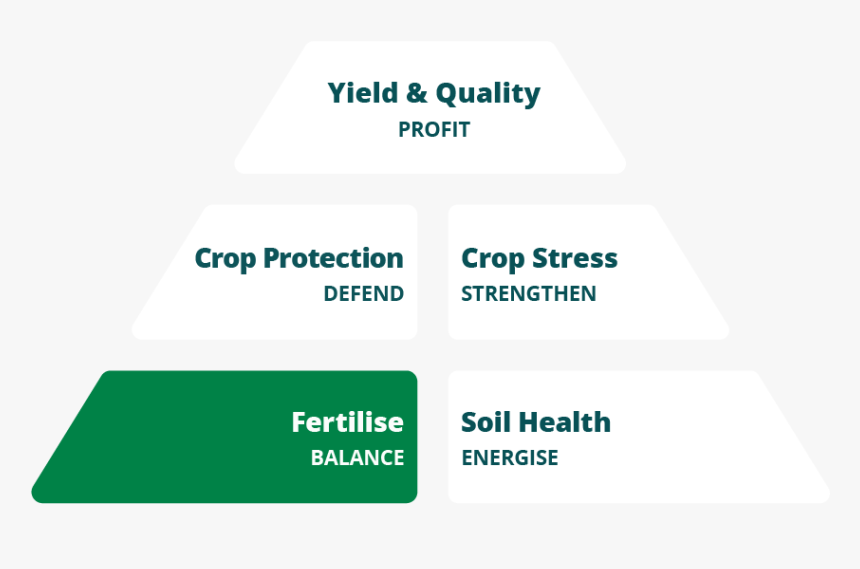 Sfs Pyramid Simple - Graphic Design, HD Png Download, Free Download