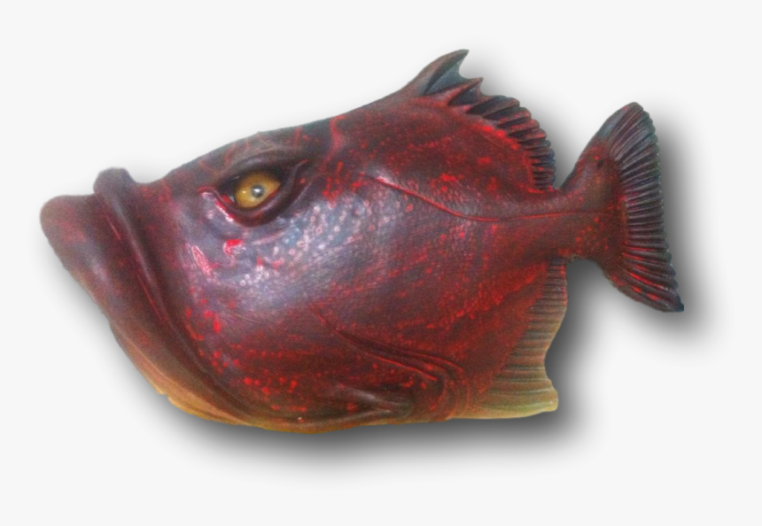 Fish With Attitude - Sockeye Salmon, HD Png Download, Free Download