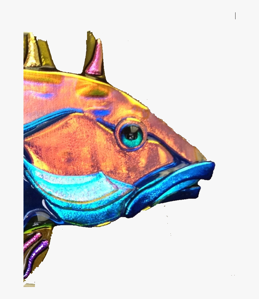 Deep Sea Fish Clipart , Png Download - Billfish, Transparent Png, Free Download