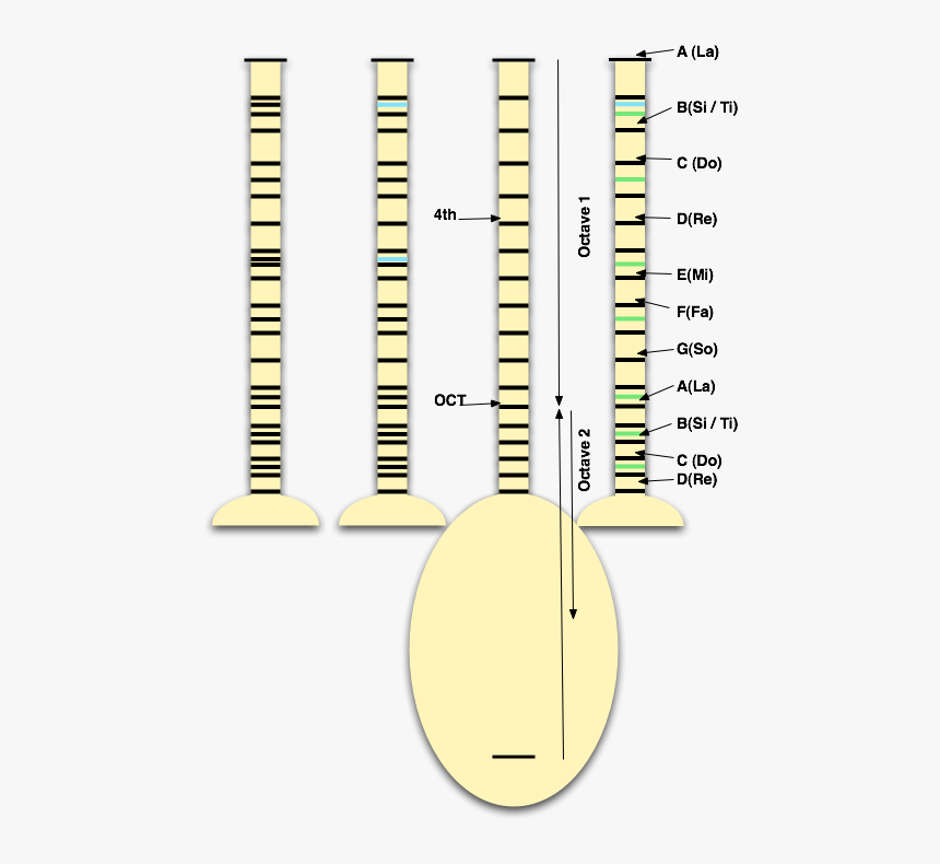 Tabs Saz Baglama, HD Png Download, Free Download