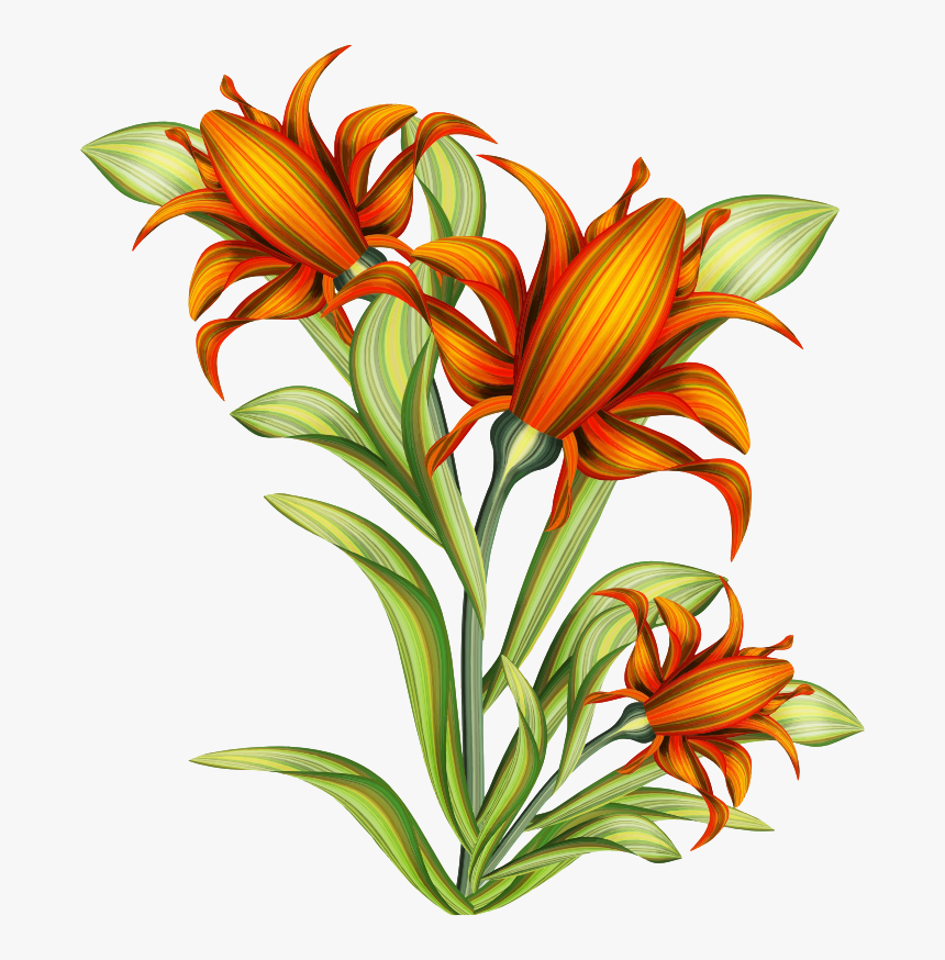 Flowers - Arts Drawing Painting Flowers, HD Png Download, Free Download