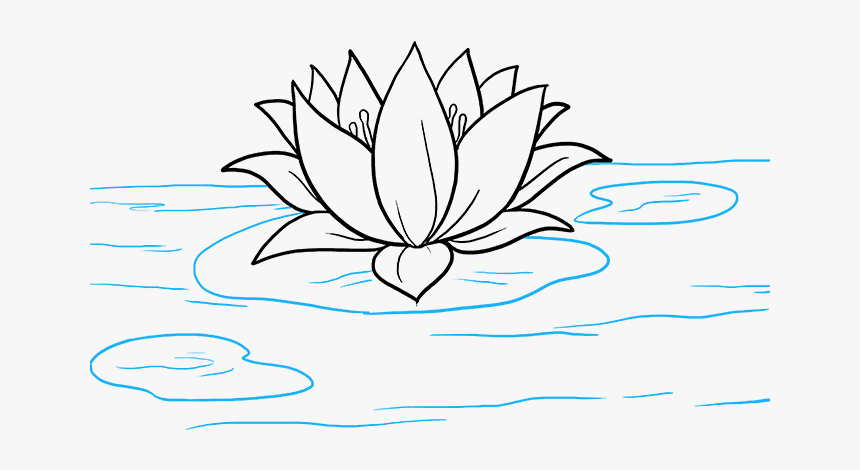 Pond Clipart Lotus Flower - Water Lily Drawing Easy, HD Png Download, Free Download