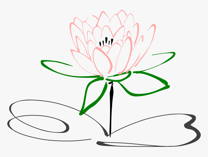 Stem Drawing Lotus Flower - Lotus Flower Clipart Black And White, HD Png Download, Free Download