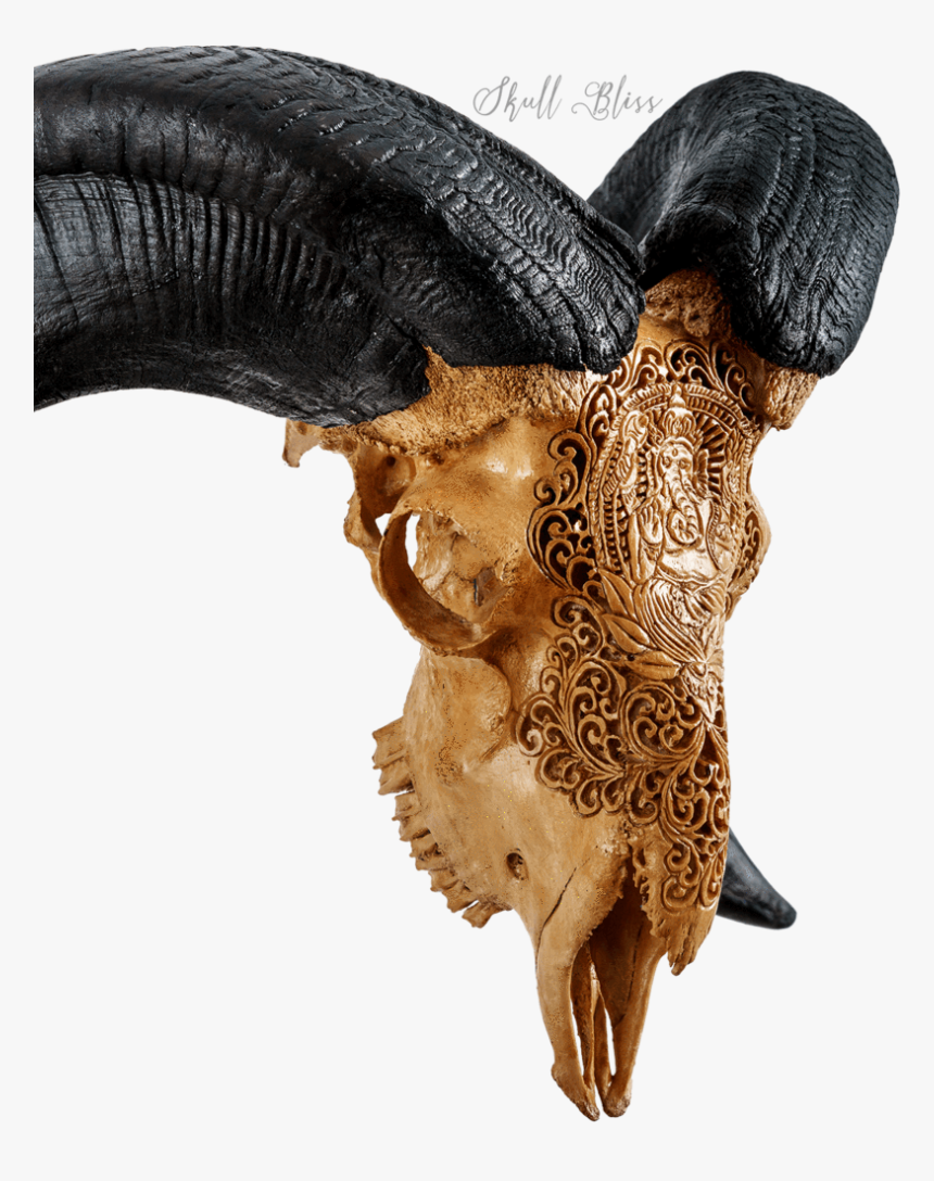 Carved Ram Skull - Carving, HD Png Download, Free Download