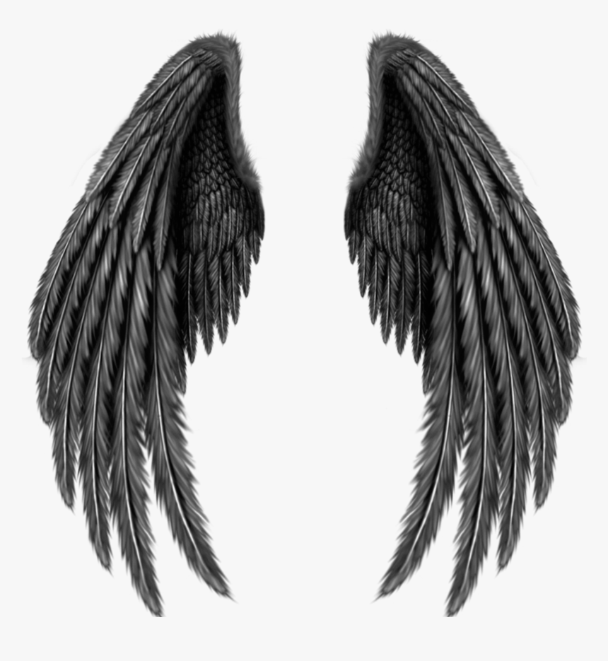 Asas Png Tumblr - Black Angel Wings Png, Transparent Png, Free Download