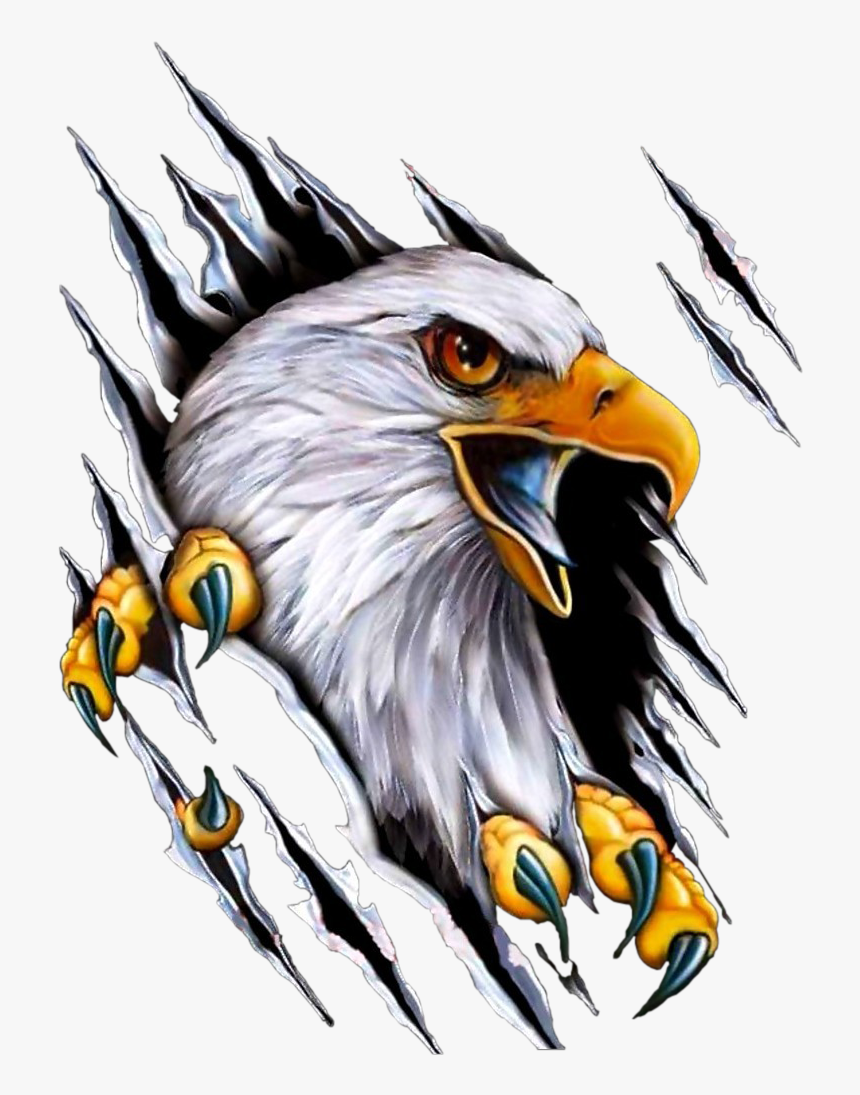 Harley Davidson Eagle Logo Png, Transparent Png, Free Download