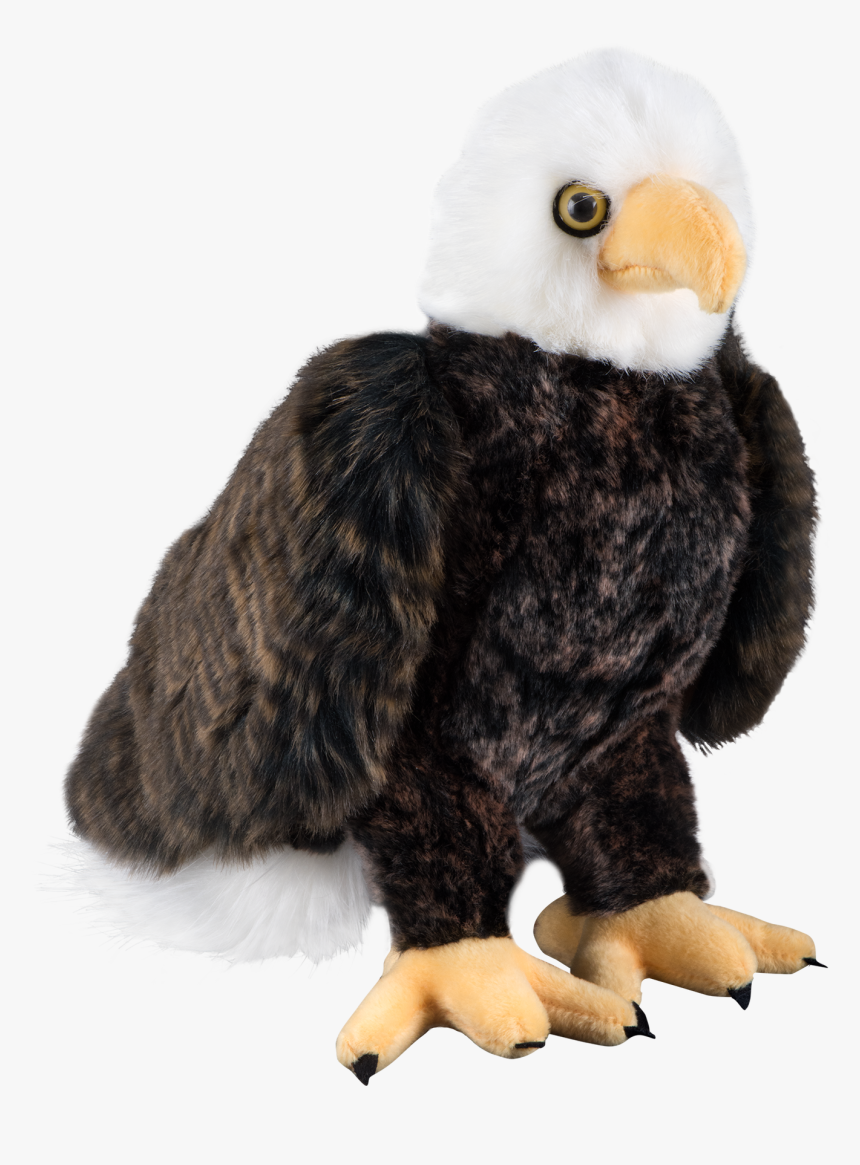 Eagle Plush, HD Png Download, Free Download