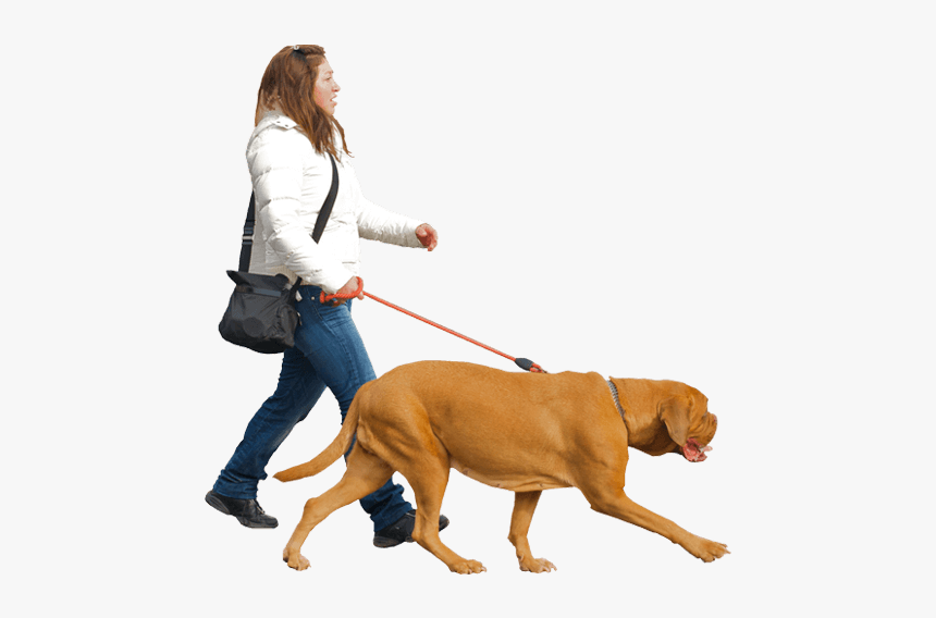 People Walking Dogs Png - People Walking With Dog Png, Transparent Png, Free Download