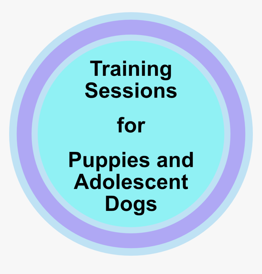 Training For Puppies And Adolescent Dogs - Lico Leasing, HD Png Download, Free Download
