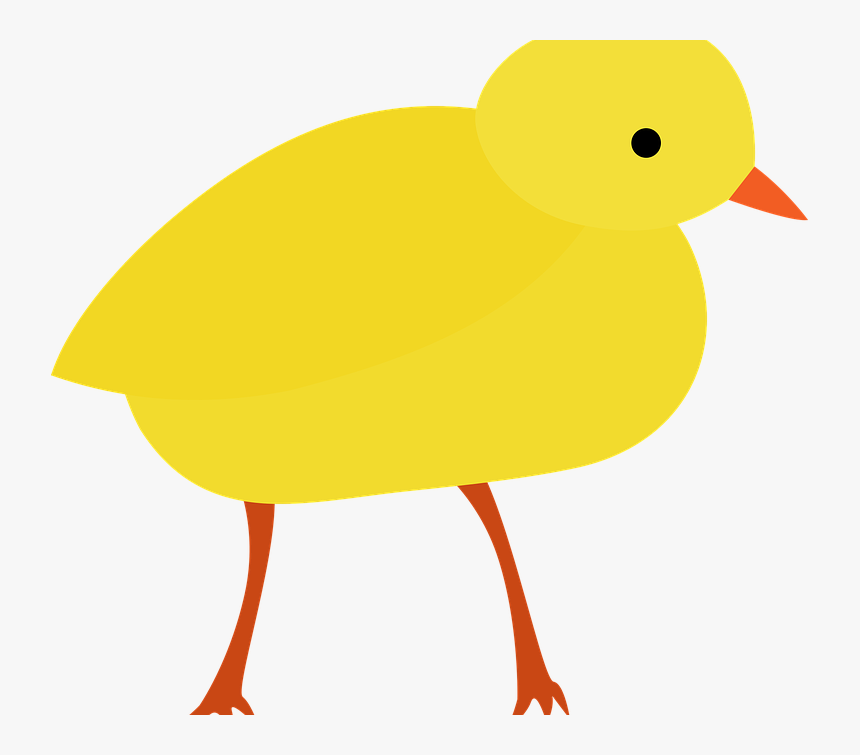 Easter Chick Set To Fly The Nest - Duck, HD Png Download, Free Download