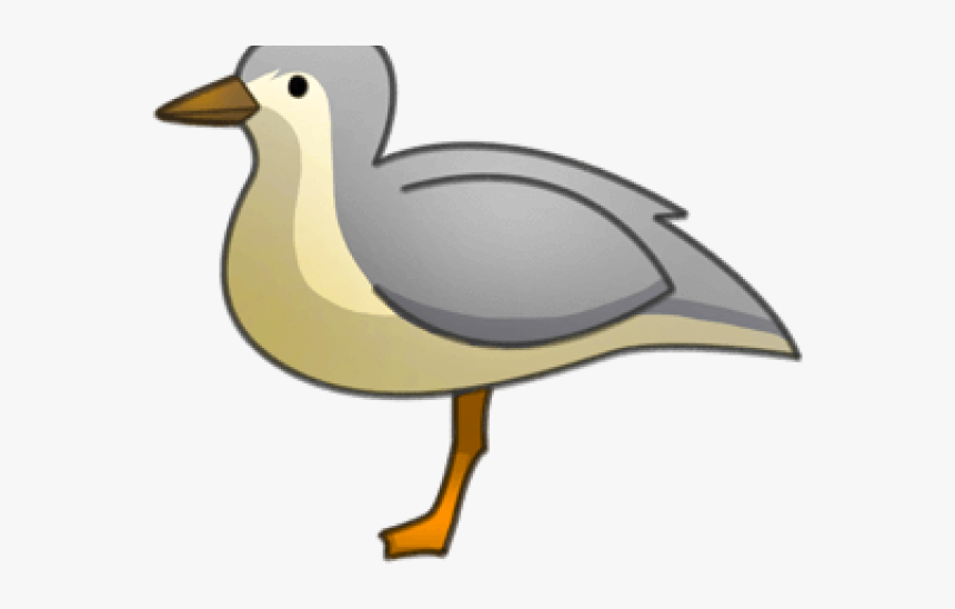Birds Nest Clipart Oiseau - Duck, HD Png Download, Free Download