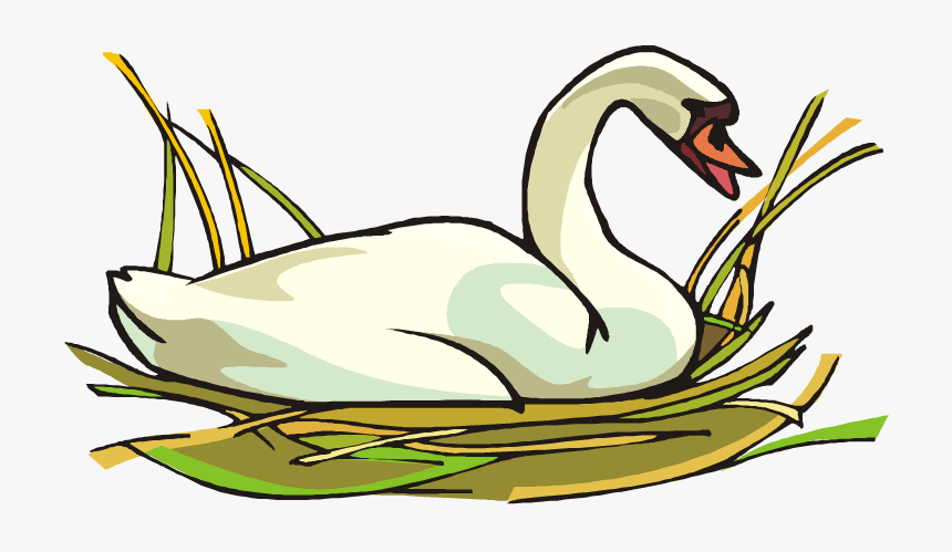 Swan Clip Art - Free Clipart Swan, HD Png Download, Free Download