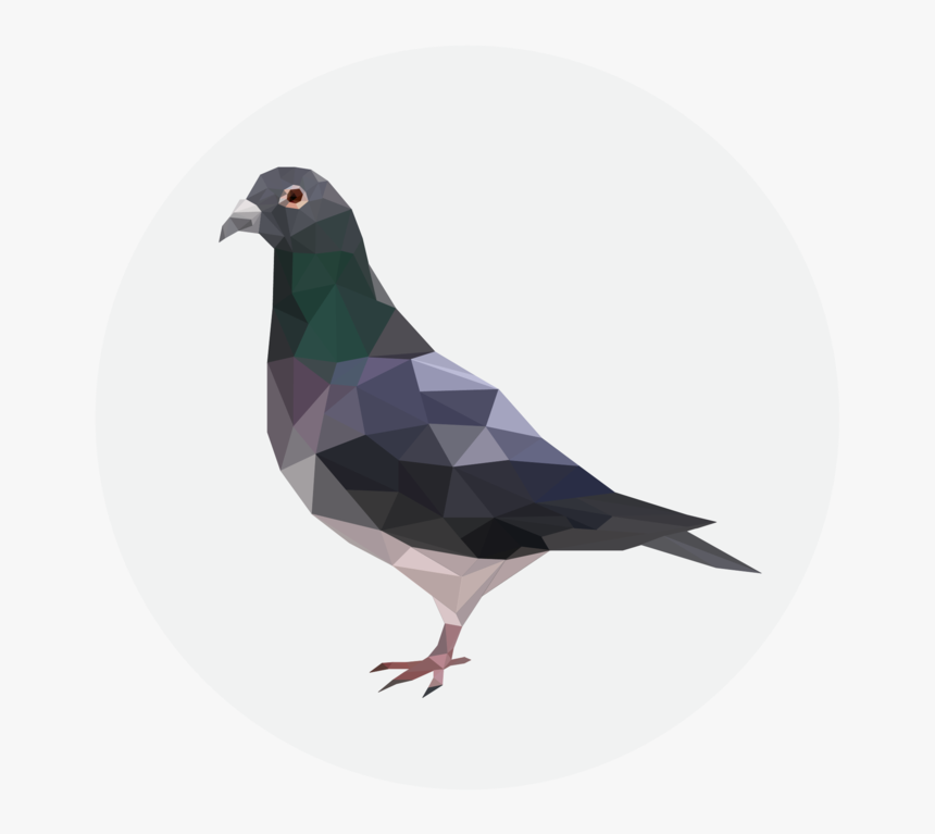 Pigeon Transparent Background - Polygonal Pigeon, HD Png Download, Free Download