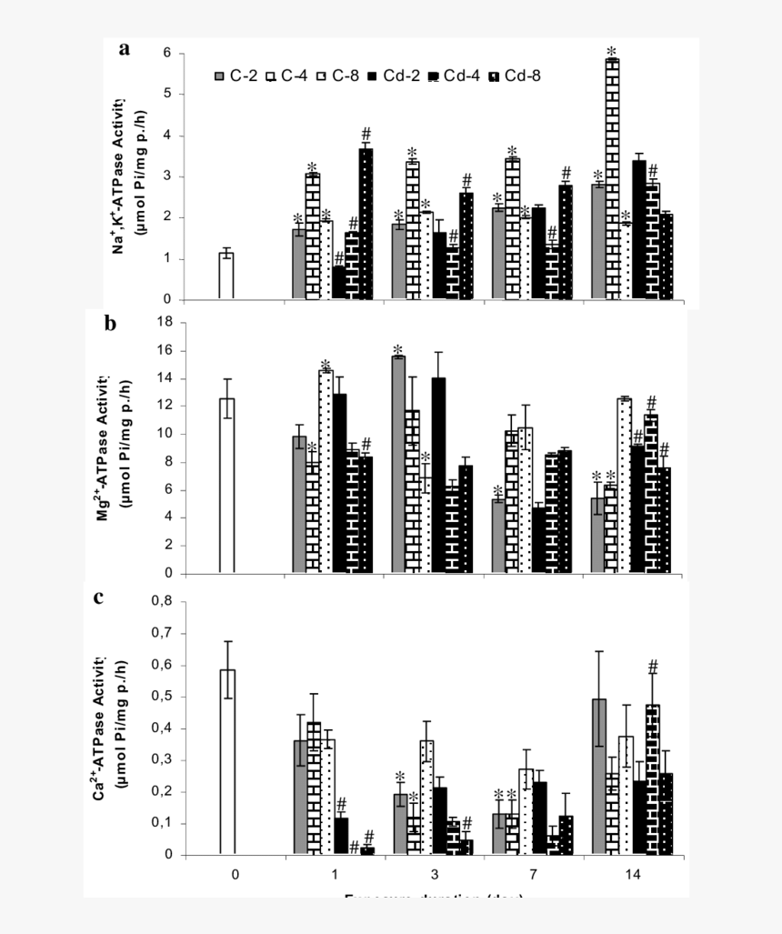 Commercial Building, HD Png Download, Free Download