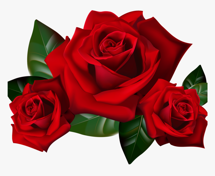 Clipart Transparent Background Roses Png, Png Download, Free Download