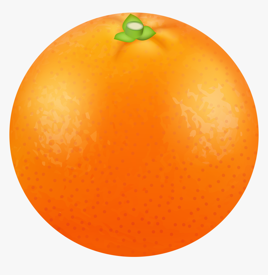 Orange Transparent Png Image, Png Download, Free Download