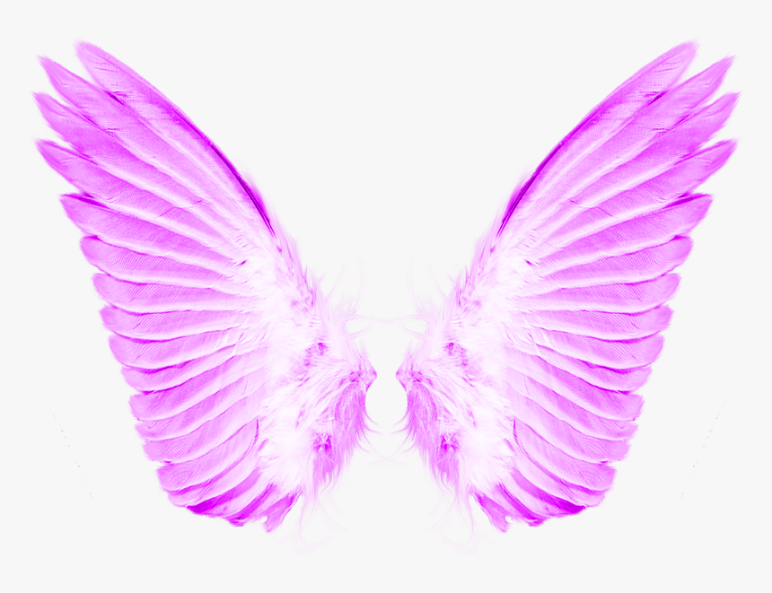 Wings Png For Photoshop, Transparent Png, Free Download