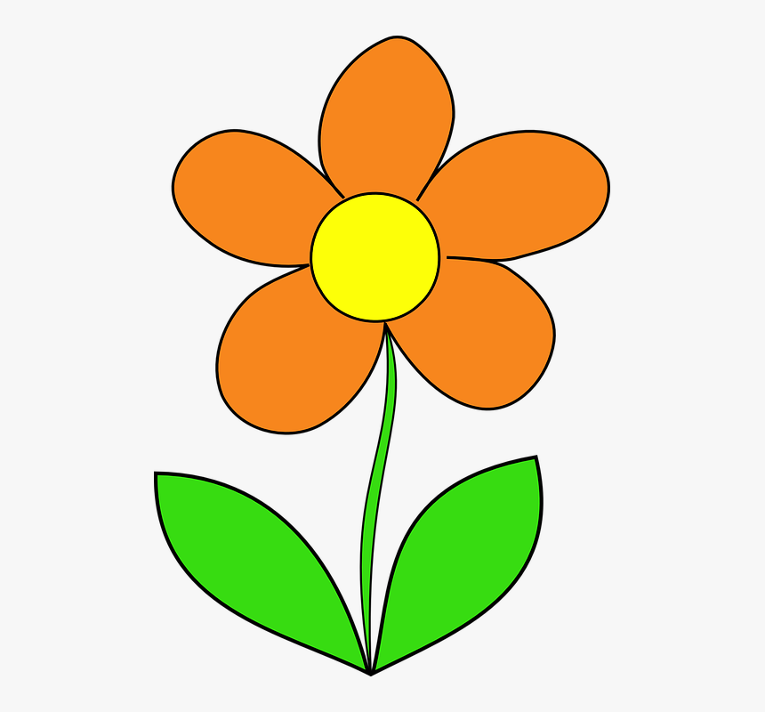 Orange Clipart Animated Free - Orange Flower Clipart, HD Png Download, Free Download