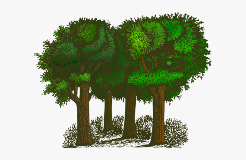 Trees Clipart, HD Png Download, Free Download
