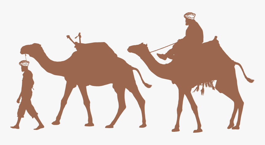 Camel Silhouette Vector, HD Png Download, Free Download