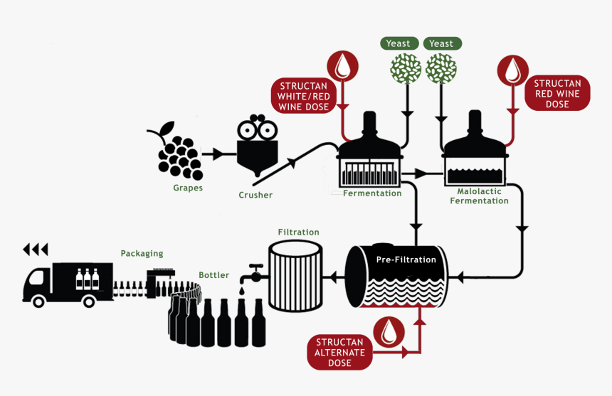 Brewing Process Png, Transparent Png, Free Download