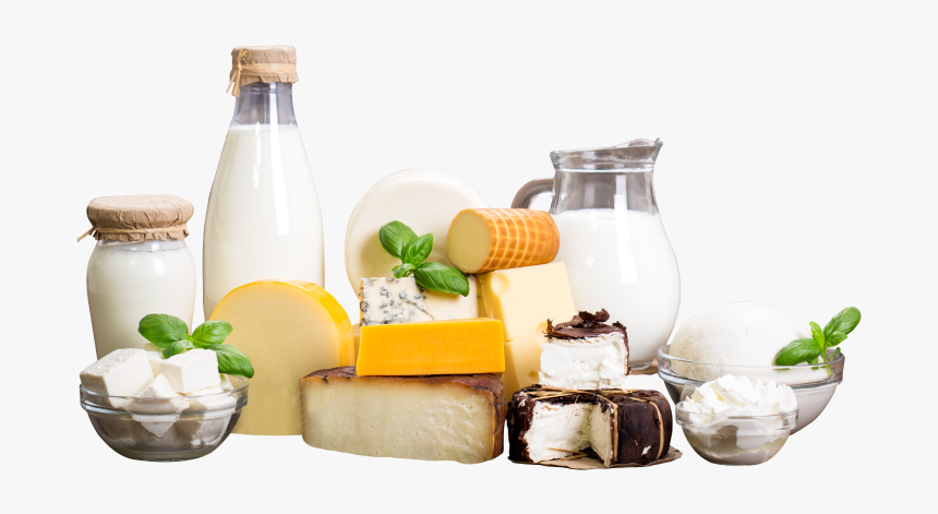 Food Processing Industry - Different Types Of Dairy Products, HD Png Download, Free Download