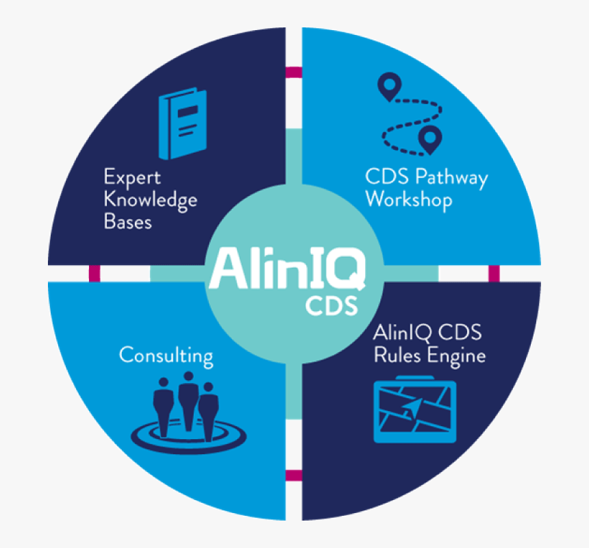 Aliniq Clinical Decision Making Wheel Image - Aliniq Cds, HD Png Download, Free Download