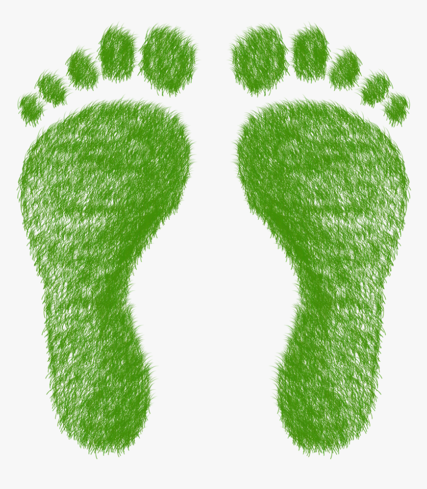 Ecological Footprint Transparent Background, HD Png Download, Free Download