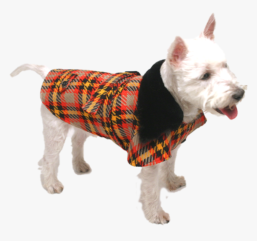 Transparent Trench Coat Png - West Highland White Terrier, Png Download, Free Download