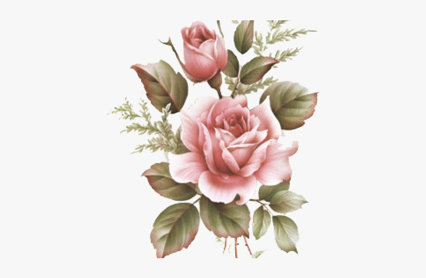 Pink Rose Clipart Png Tumblr - Rose Da Dipingere, Transparent Png, Free Download