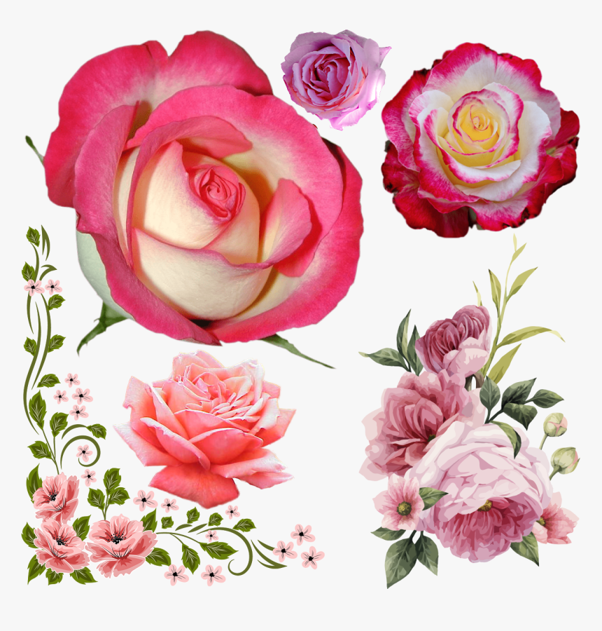 Wedding Flower Clipart, HD Png Download, Free Download