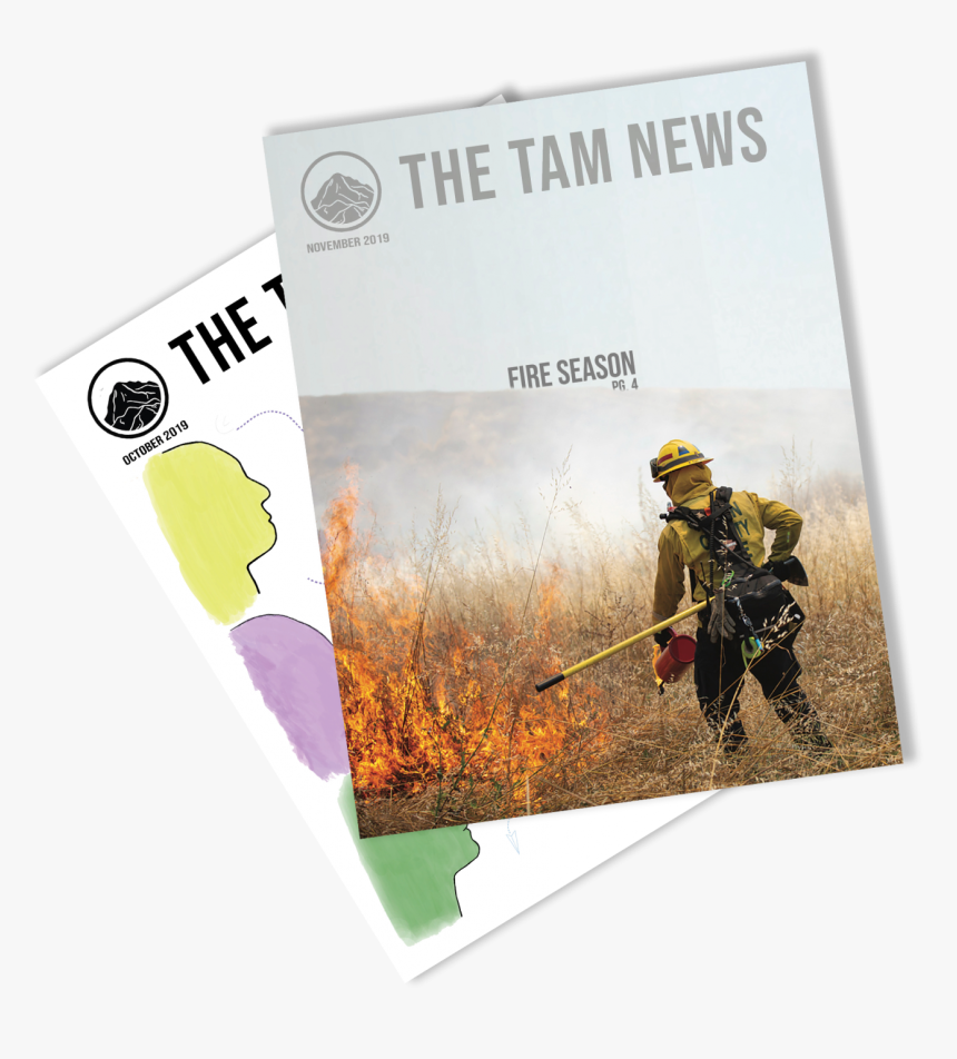 Tam News November - Soldier, HD Png Download, Free Download
